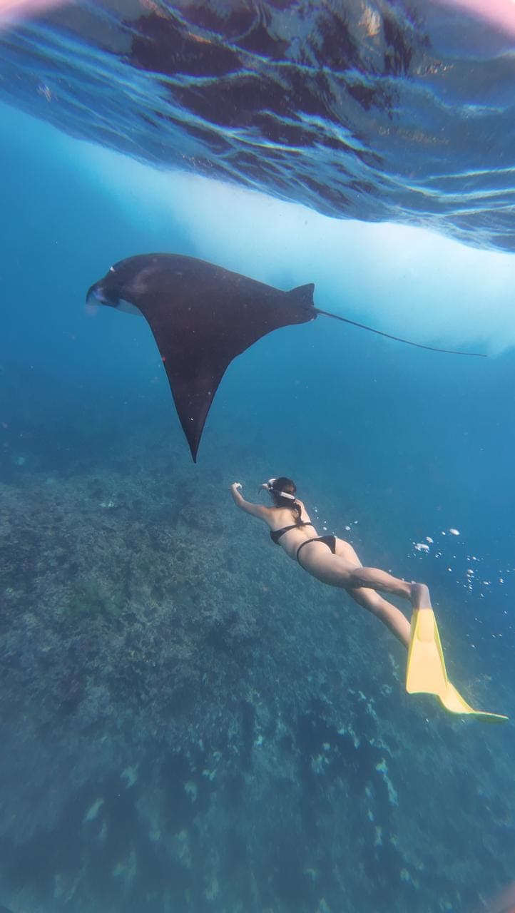 Epic snorkeling experience in the crystal clear waters around Nusa Penida