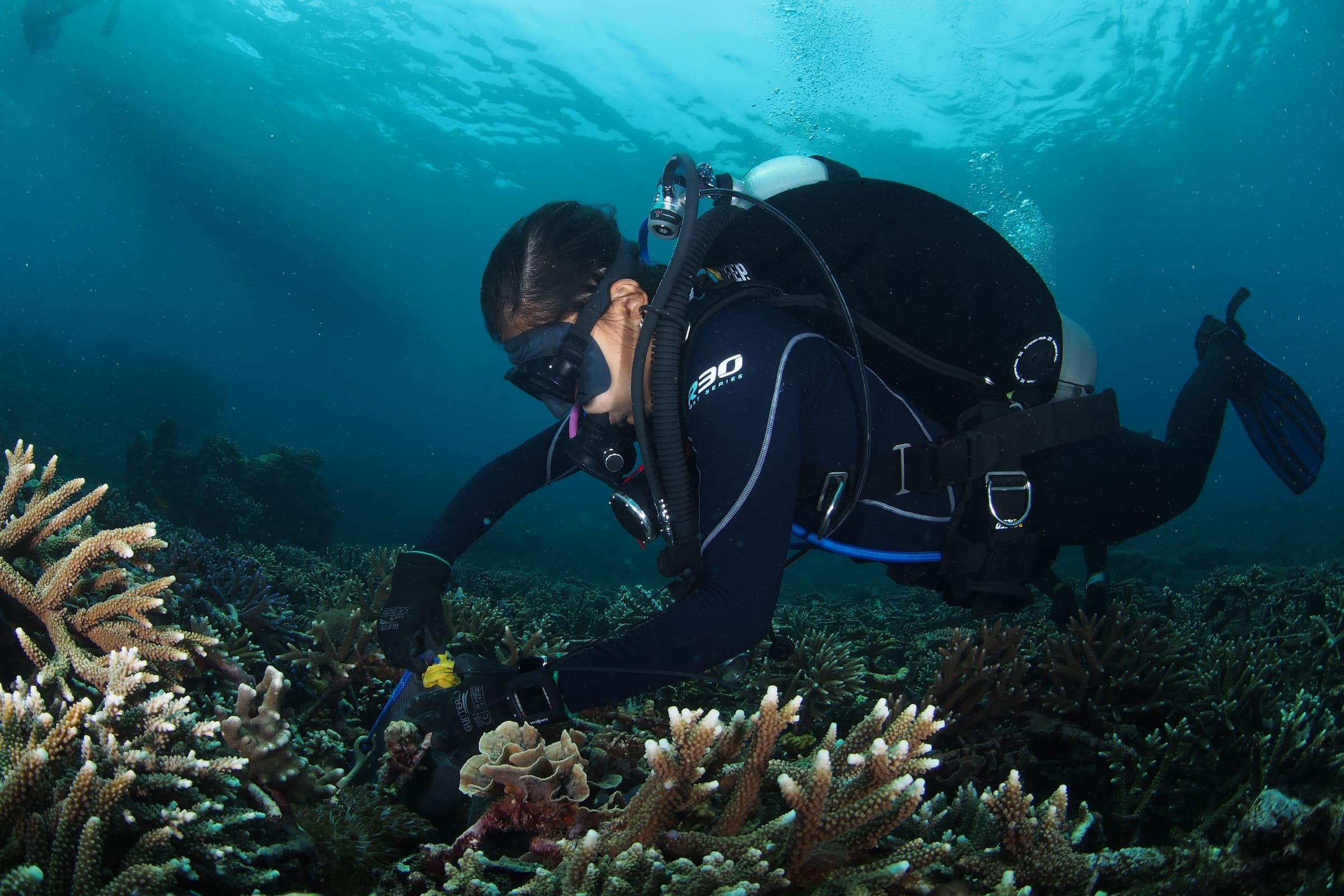 Diver exploring a healthy coral reef in Nusa Penida