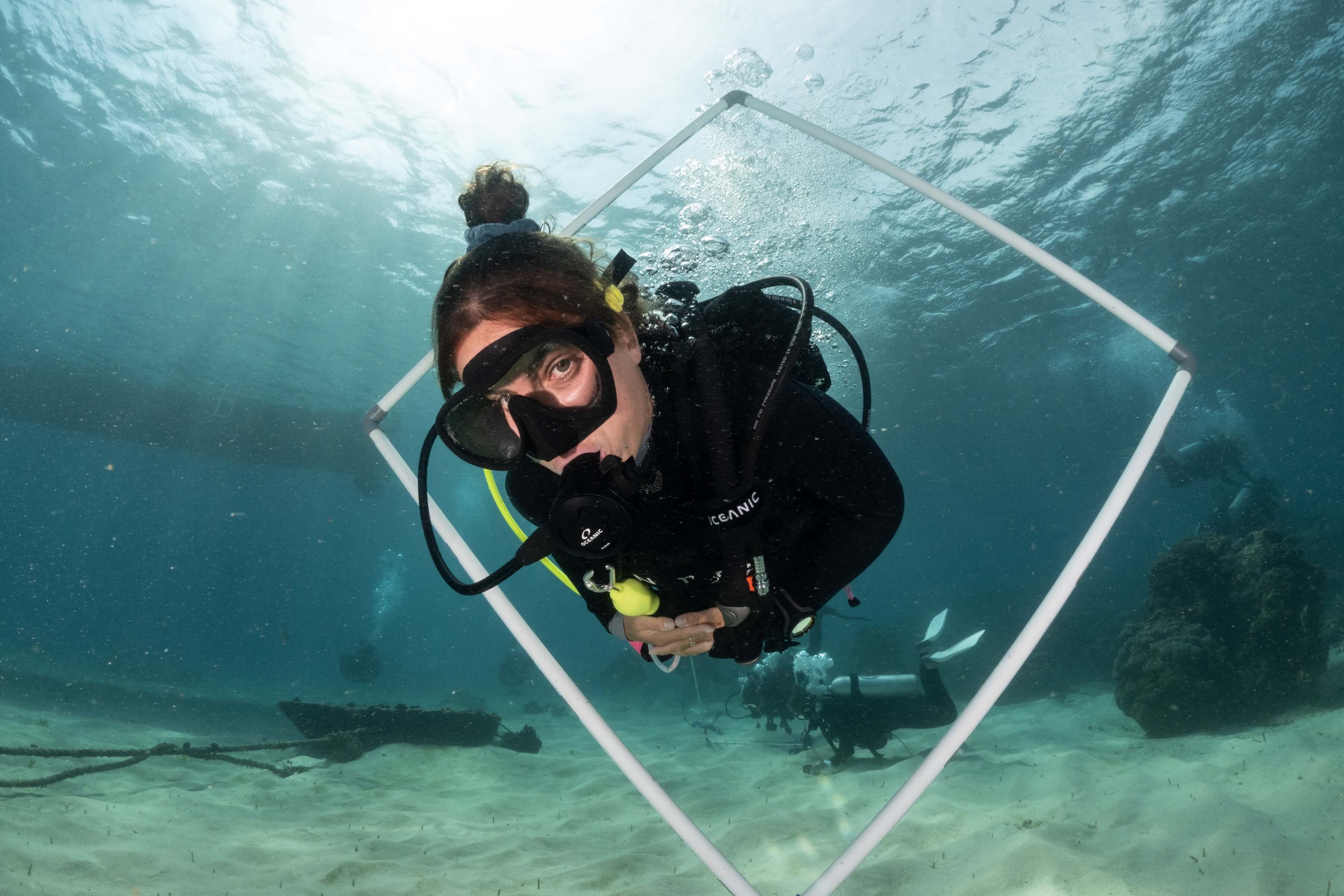 Project Laut diver conducting an underwater survey in Nusa Penida