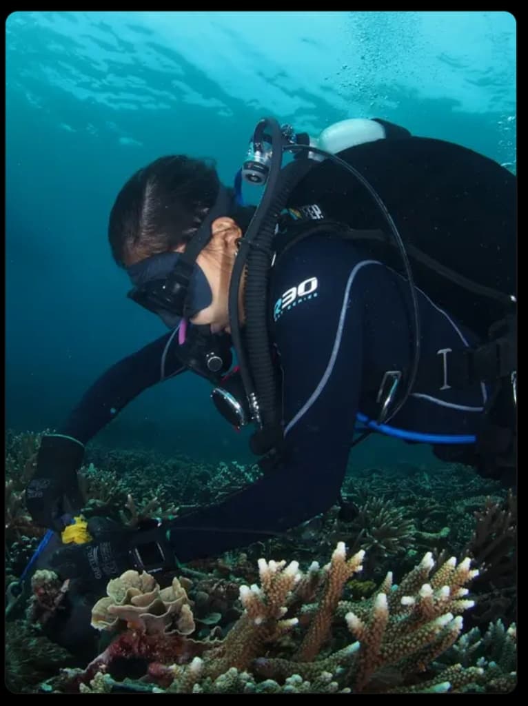 Diver exploring a coral reef in Nusa Penida