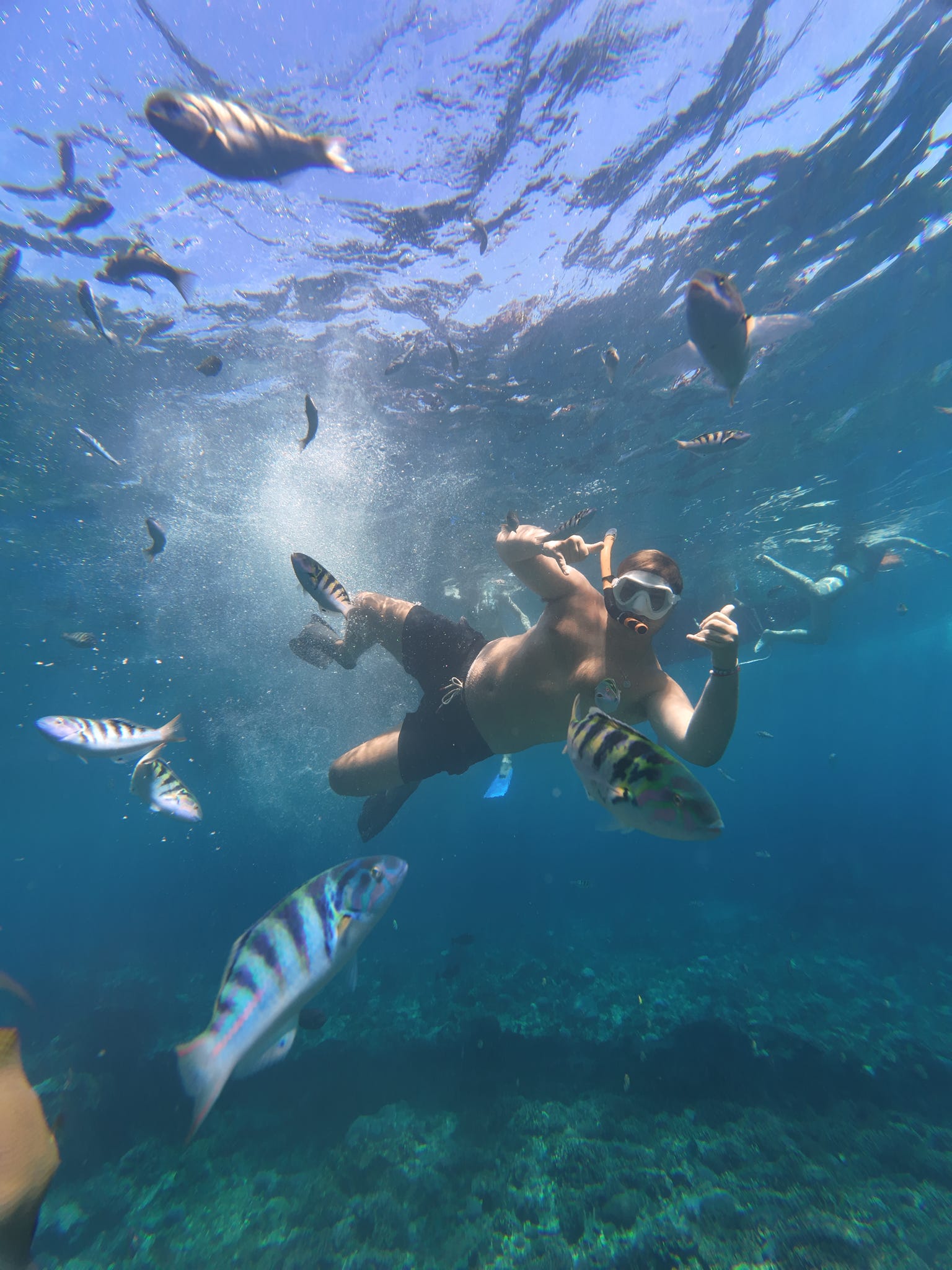 Snorkeler surrounded by tropical fish in clear Nusa Penida water