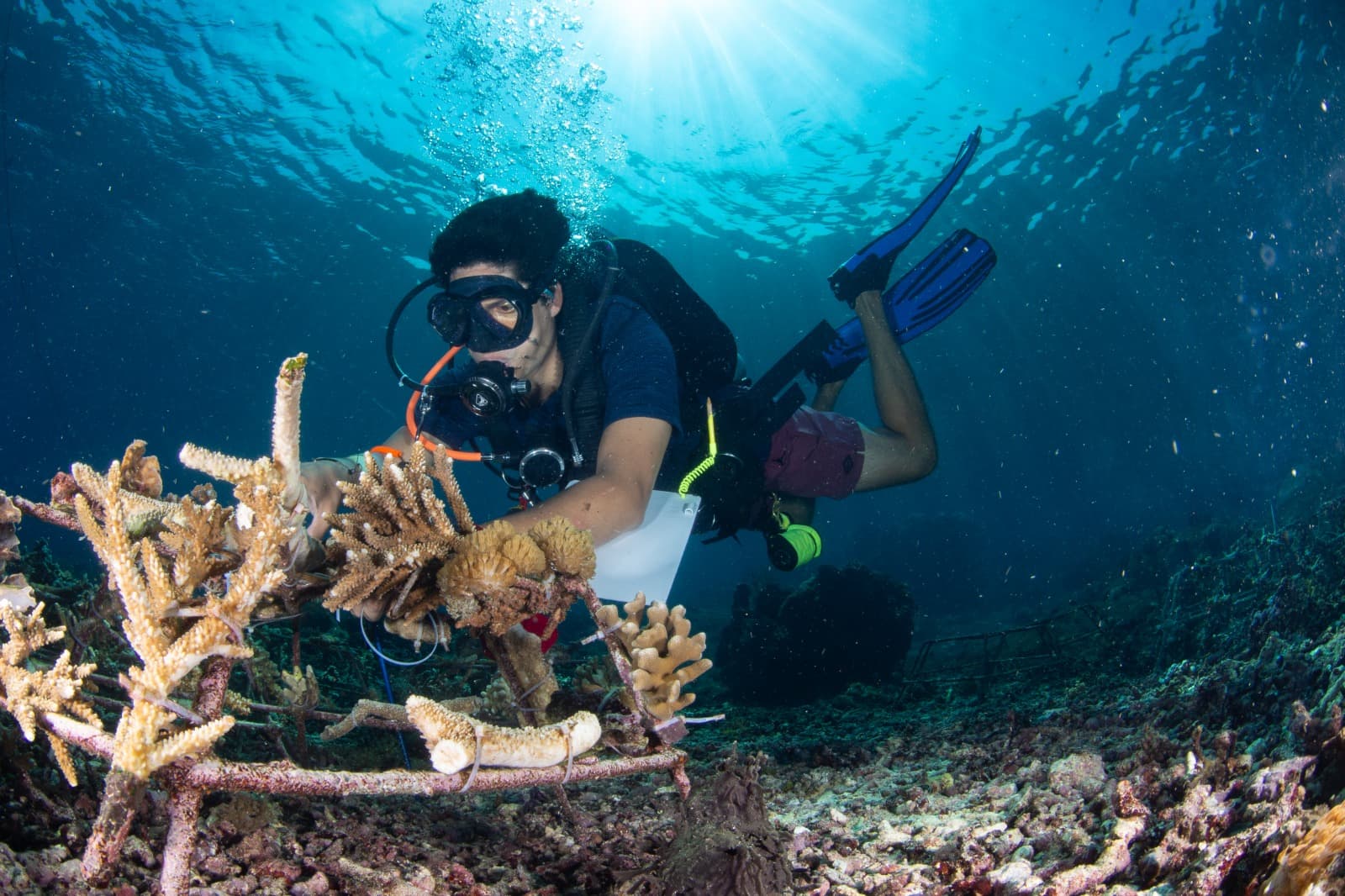 Community-led eco-tourism project with The Penida Project guests