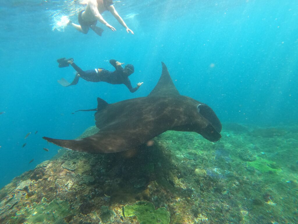 group snorkelling tour in Nusa Penida